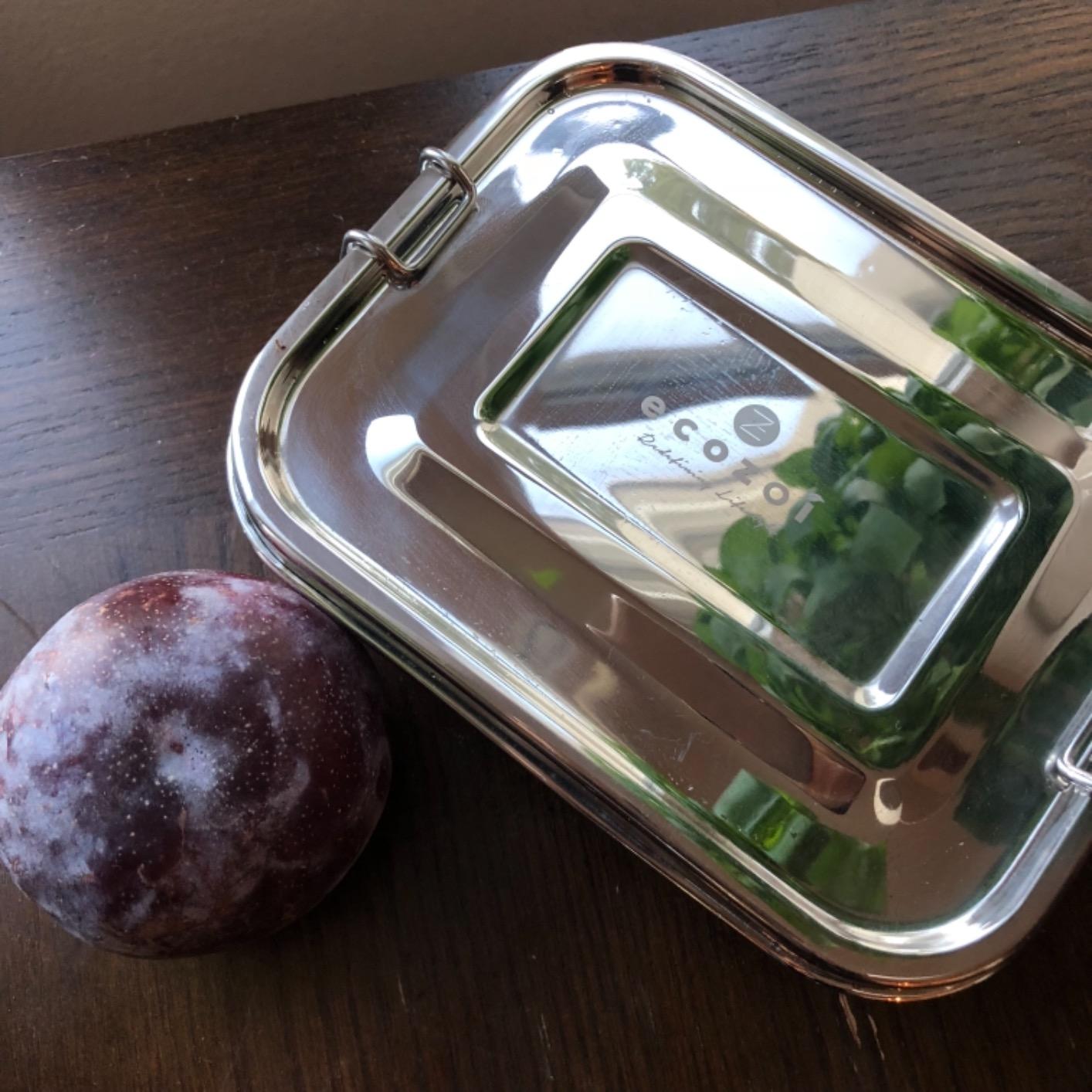 Buy 1-Tier Stainless Steel Leak-Proof Lunch Box | Best Bento Box